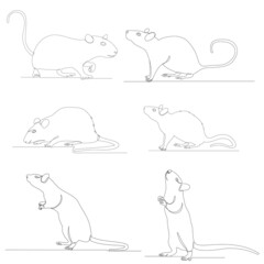 mouse set, continuous line drawing, sketch, vector