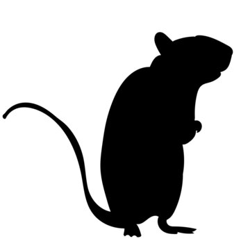 silhouette mouse on white background, isolated