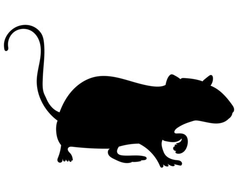 silhouette mouse on white background, isolated, vector