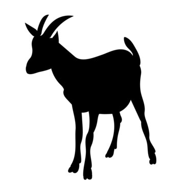 silhouette of a goat on a white background, isolated, vector