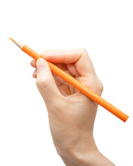 オレンジ色の色鉛筆を持つ女性の手（白背景）