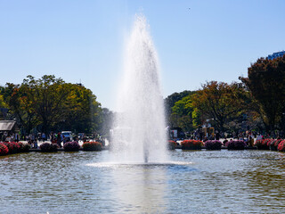 サンパチェンスが咲く上野恩賜公園の噴水広場（東京都台東区）