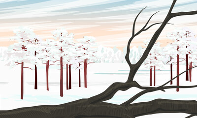 Winter landscape with a branch in the snow and a pine forest on the horizon. Realistic vector landscape