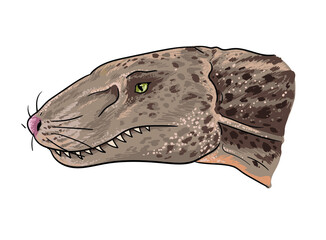 Drawing cynodont head, art.illustration, vector