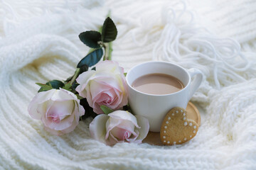 three roses, a cup of cocoa, heart-shaped cookies on the background of a white knitted scarf. a gift with love. romantic background, valentine's day card. congratulations on March 8. cozy scene. 