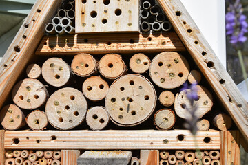 Wildbienenhotel mit Wildbienen