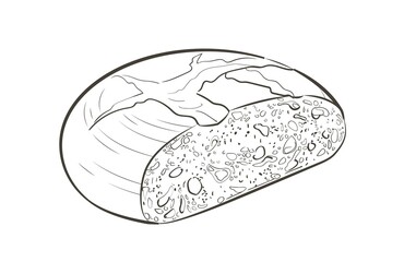 Vector loaf of bread. Rye rounde rustic bread or whole grain baked bread. Logo, icon. Sketch realistic line vintage illustration