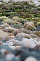 The rocky seashore at Rackwick in Orkney.