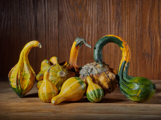 Variety of edible and decorative gourds and pumpkins. Autumn composition of different squash types...