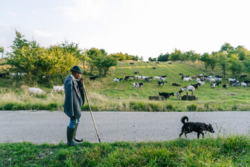 Male goat herder holding walking cane while standing on road