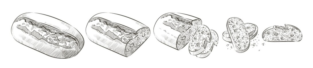 loaf of bread. Rye rustic bread or whole grain baked bread. Logo, icon. Vector Sketch realistic line vintage illustration