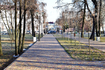 A path in a city park with young trees.