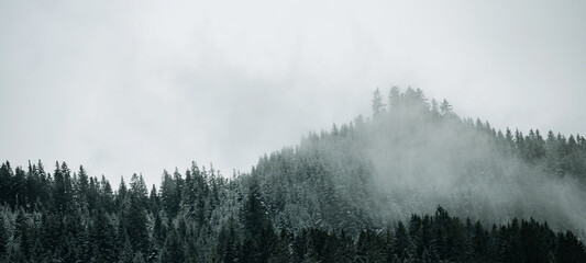 Amazing mystical rising fog forest snow snowy trees landscape snowscape in black forest ( Schwarzwald ) winter, Germany panorama banner - dark mood.