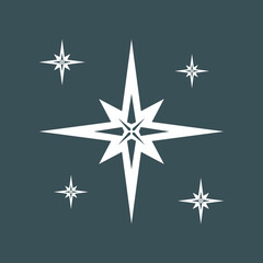 Star north quality vector illustration cut