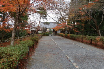 Sou-mon Gate and autumn leaves in the precincts of Nison-in Temple at Sagano in Kyoto City in Japan 日本の京都市嵯峨野にある二尊院境内の総門と紅葉