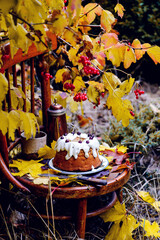 Apples band cake.in the autumn garden .selective focus.