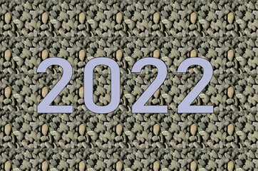 2022 new year illustrations