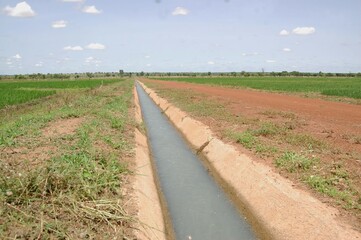 Un terrain amenagé  pour la culture du riz bio à bagré au Burkina faso.
