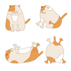 Funny plumpy cats set. Cute hand drawn cats lie and sit front and back view. Kitty mascote isolated on white for card children design