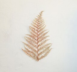 A fern branch with white beads instead of a Christmas tree. The concept of celebrating the New...