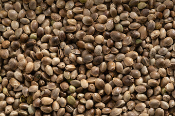 Detailed and large close up shot of hemp bred.