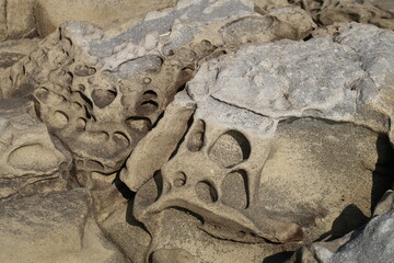 texture of porous stones on the beach, nature, natural phenomena, brown-gray stones - obrazy, fototapety, plakaty