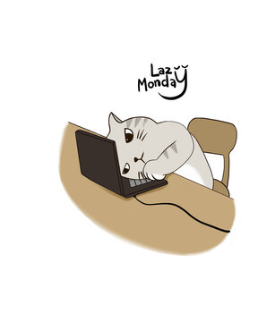 Cat is lazy on monday