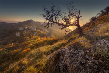 Fototapeta na wymiar A stunning and picturesque view of the mountains and the valley. A lonely tree stands on top in the sunshine. Soft dawn. Autumn landscape. Panorama. Temple of the Sun. Crimea. Eastern Europe.