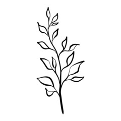 minimalist floral element for logo, symbol and icon design