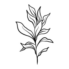 elegant leaves for wedding invitation design