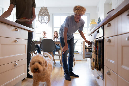 Smiling boy looking at dog in kitchen with family in background