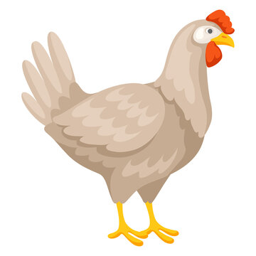 Illustration of brown chicken. Images for food and agricultural industries.
