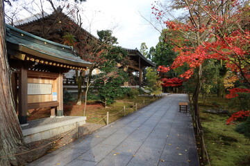  Shinreihou-den Treasury Hall and autumn leaves in the precincts of Kouryu-ji Temple at Uzumasa in Kyoto City in Japan 日本の京都市太秦にある広隆寺境内の新霊宝殿と紅葉