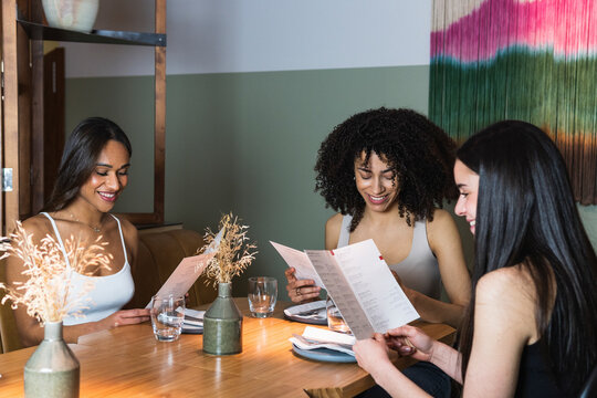 Female friends checking menu in restaurant