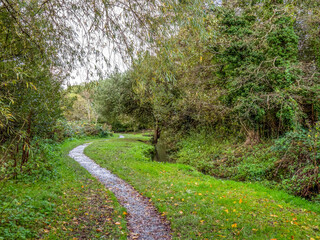 Fototapeta na wymiar View of path in Kenwith valley local nature reserve aka LNR, and community park. Photo taken November. Bideford, Devon.