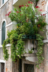 Fototapeta na wymiar Balcony in Venice brimming with lush flowers