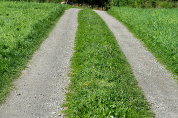 Fototapeta na wymiar Idyllic tractor country road with green fresh grass next to it.
