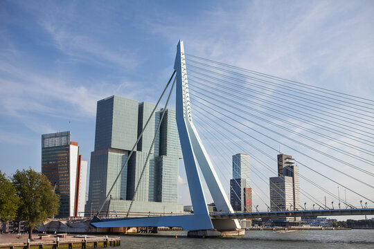 Netherlands, South Holland, Rotterdam, Erasmusbrug with hotel in background