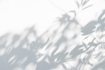 Shadow and sunshine of leaves reflection. Jungle gray darkness shade and lighting on concrete wall, shadows overlay effect, mockup and design