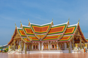 Naklejka premium Beautiful and fertile forests full of beautiful green and sunny