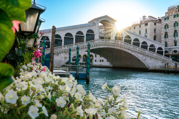 Sunrise at Rialto Bridge above Grand Canal in Venice with white flowers in foreground - obrazy, fototapety, plakaty