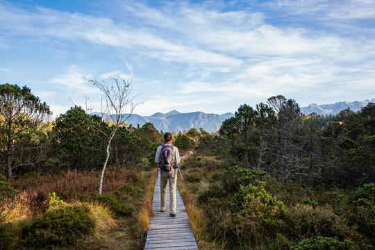Mature man with backpack walking on boardwalk amidst plants at Murnauer Moos, Bavaria, Germany
