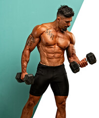 Fototapeta na wymiar Handsome Muscular Men Exercise WIth Dumbbells