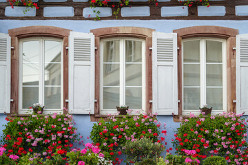 Fototapeta na wymiar Flowering plants growing in window box on the half-timbered house