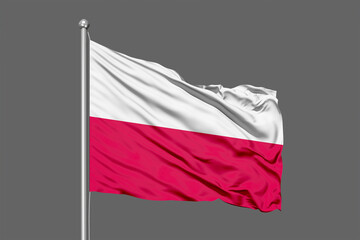 Poland Waving Flag 