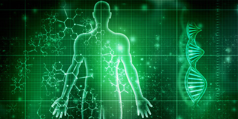 2d illustration Human Male Muscle Body