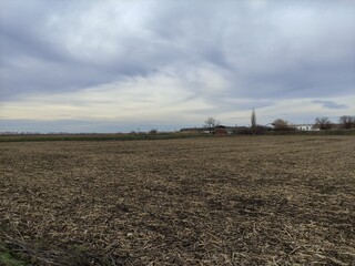 Fototapeta premium Old farm against the background of a harvested agricultural field