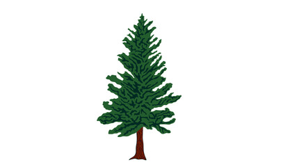 Vermont Pine