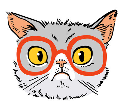 Nerd. Cat drawing. Sad cat face. Portrait of cat with glasses hipster. Cartoon characters. Funny vector illustration. Isolated on white background.