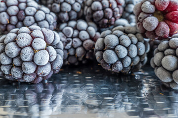frozen frosly look blackberries closeup